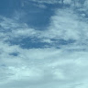 Meet your Posher, Carol